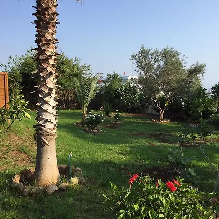 Yvonne * Paphos